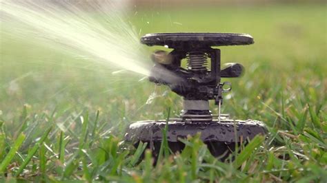STEP 1 Shop for the right replacement sprinkler head. . How to replace sprinkler head rainbird